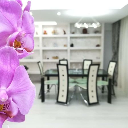 Paradise Apartament Brasov Luaran gambar