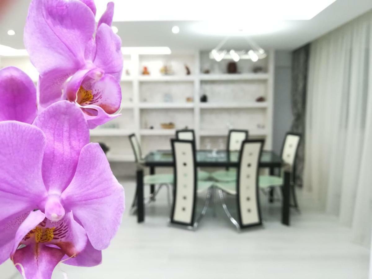 Paradise Apartament Brasov Luaran gambar